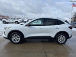 2026 Ford Escape Active®