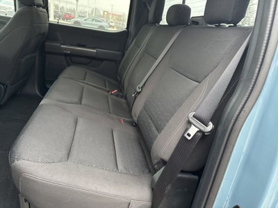 2023 Ford F-150 XLT Sport