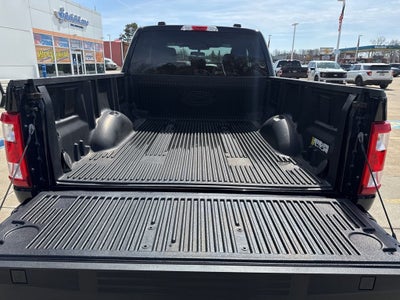 2023 Ford F-150 XL STX