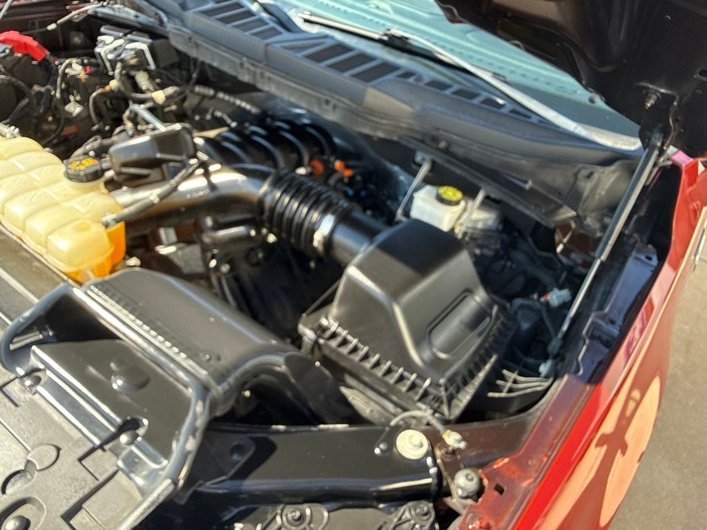 2023 Ford F-150 XLT Sport