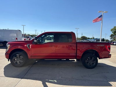 2023 Ford F-150 XLT Sport