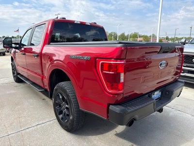 2023 Ford F-150 XL RATTLER