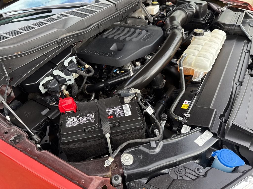 2023 Ford F-150 XLT Sport