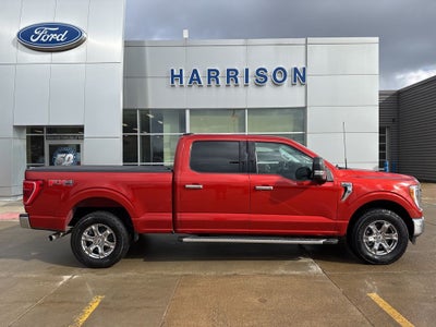 2023 Ford F-150 XLT Sport