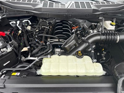 2026 Ford F-150 XLT Sport