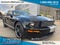 2007 Ford Mustang GT Premium Shelby GT