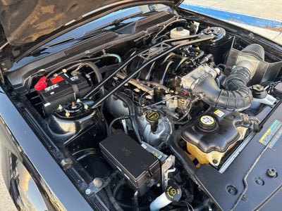 2007 Ford Mustang GT Premium Shelby GT